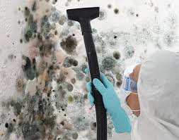 Best Biohazard Mold Removal  in Greenwood Lake, NY